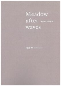 Meadow after waves 波のあとの牧草地