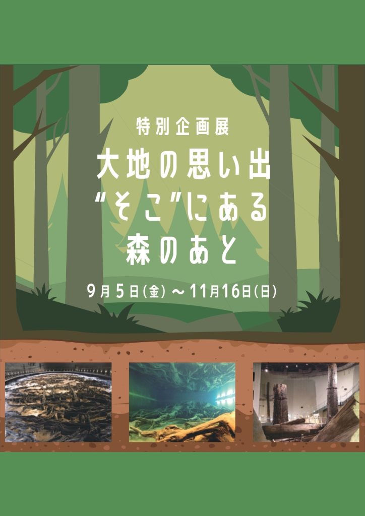 ［特別企画展］    大地の思い出　”そこ”にある森のあと