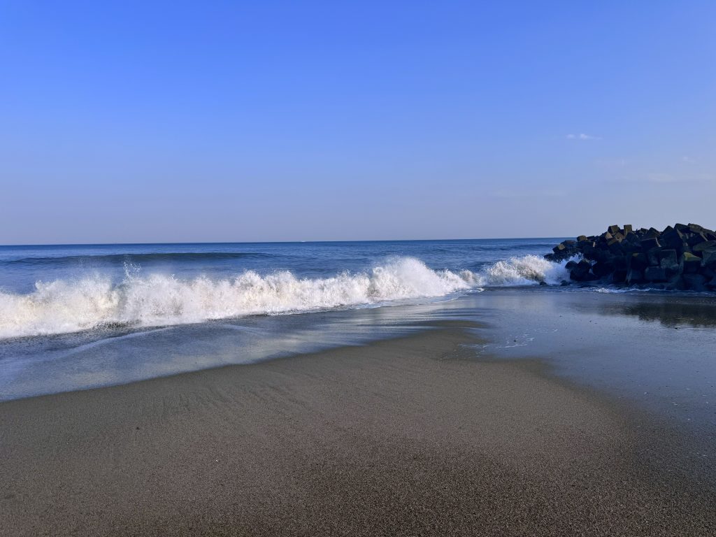 楽曲『Analogfish / 抱きしめて』――優しいプロテストソング