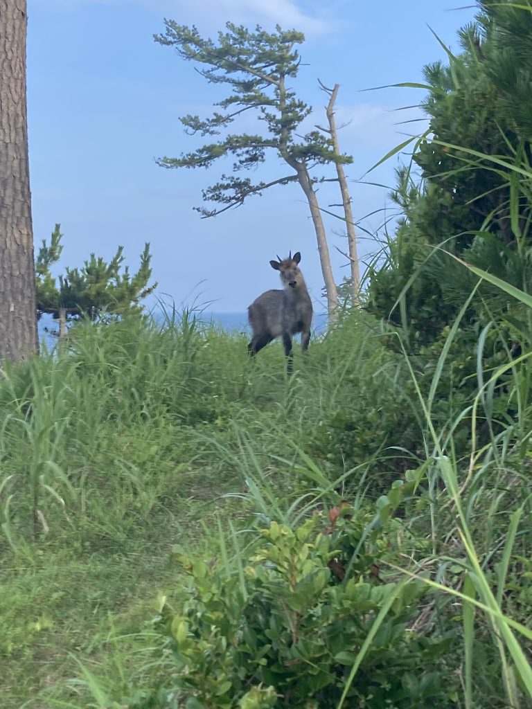 宮城オルレ――友人との冒険を楽しめるもの