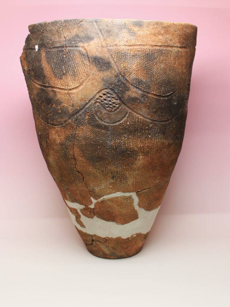 ［春のコーナー展示］  東北の縄文遺跡 仙台市太白区・下ノ内遺跡